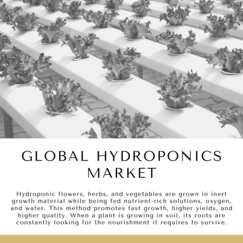 Infographic: Global Hydroponics Market, Global Hydroponics Market Size, Global Hydroponics Market Trends,â¯ Global Hydroponics Market Forecast,â¯ Global Hydroponics Market Risks, Global Hydroponics Market Report, Global Hydroponics Market Share