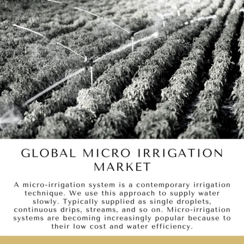 Infographic: Global Micro Irrigation Market, Global Micro Irrigation Market Size, Global Micro Irrigation Market Trends,â¯ Global Micro Irrigation Market Forecast,â¯ Global Micro Irrigation Market Risks, Global Micro Irrigation Market Report, Global Micro Irrigation Market Share