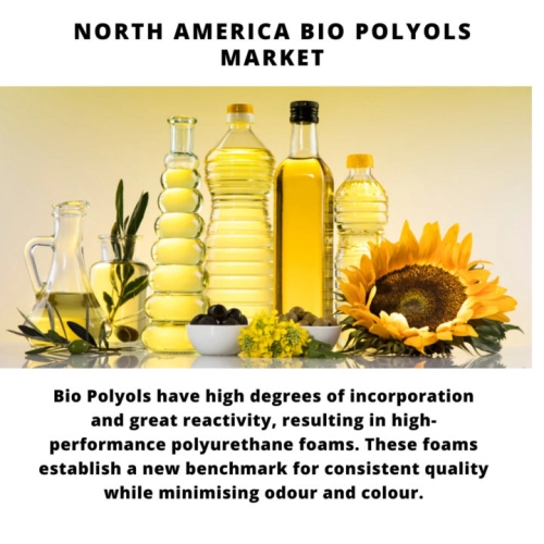 Infographic: North America Bio Polyols Market, North America Bio Polyols Market Size, North America Bio Polyols Market Trends, North America Bio Polyols Market Forecast, North America Bio Polyols Market Risks, North America Bio Polyols Market Report, North America Bio Polyols Market Share