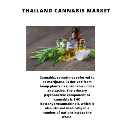 Infographics-Thailand Cannabis Market Market , Thailand Cannabis Market Size, Thailand Cannabis Market Trends, Thailand Cannabis Market Forecast, Thailand Cannabis Market Risks, Thailand Cannabis Market Report, Thailand Cannabis Market Share