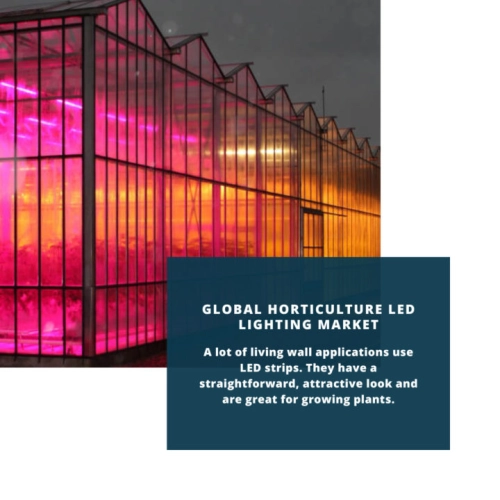 infography; Horticulture LED Lighting Market, Horticulture LED Lighting Market Size, Horticulture LED Lighting Market Trends, Horticulture LED Lighting Market Forecast, Horticulture LED Lighting Market Risks, Horticulture LED Lighting Market Report, Horticulture LED Lighting Market Share