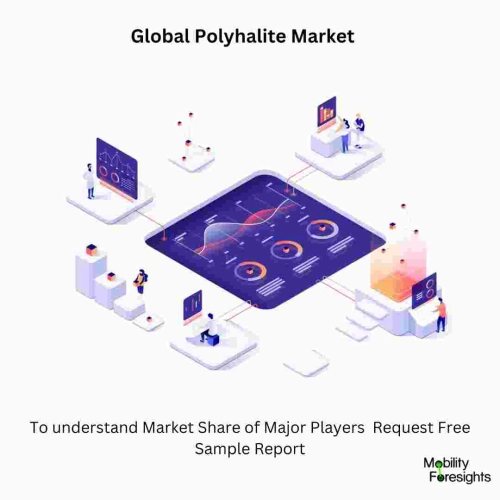 Polyhalite Market Size Polyhalite Market size