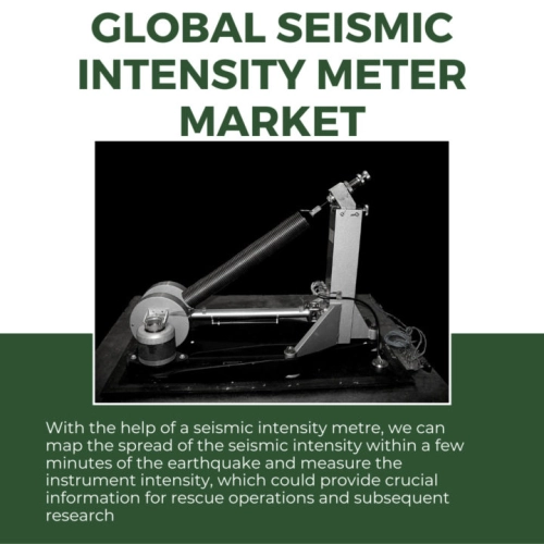 Infographic: Seismic Intensity Meter Market, Seismic Intensity Meter Market Size, Seismic Intensity Meter Market Trends, Seismic Intensity Meter Market Forecast, Seismic Intensity Meter Market Risks, Seismic Intensity Meter Market Report, Seismic Intensity Meter Market Share