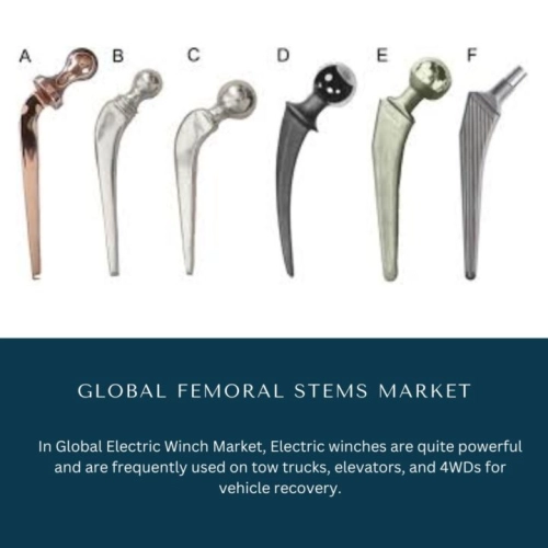 Femoral Stems Market Share