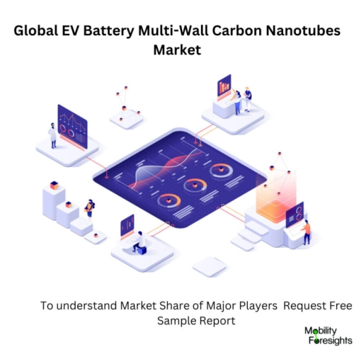 Infographic: EV Battery Multi-Wall Carbon Nanotubes Market , EV Battery Multi-Wall Carbon Nanotubes Market Size, EV Battery Multi-Wall Carbon Nanotubes Market Trends, EV Battery Multi-Wall Carbon Nanotubes Market Forecast, EV Battery Multi-Wall Carbon Nanotubes Market Risks, EV Battery Multi-Wall Carbon Nanotubes Market Report, EV Battery Multi-Wall Carbon Nanotubes Market Share 