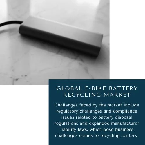 E-Bike Battery Recycling Market Share