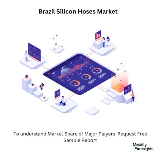 infographic: Brazil Silicon Hoses Market, Brazil Silicon Hoses Market Size, Brazil Silicon Hoses Market Trends, Brazil Silicon Hoses Market Forecast, Brazil Silicon Hoses Market Risks, Brazil Silicon Hoses Market Report, Brazil Silicon Hoses Market Share 