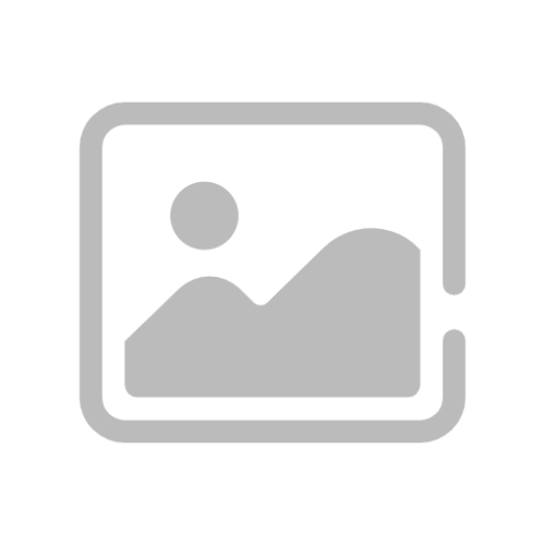 Global Cholerodochoscope Market 2024-2030